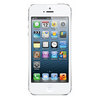 Apple iPhone 5 16Gb white - Бирск